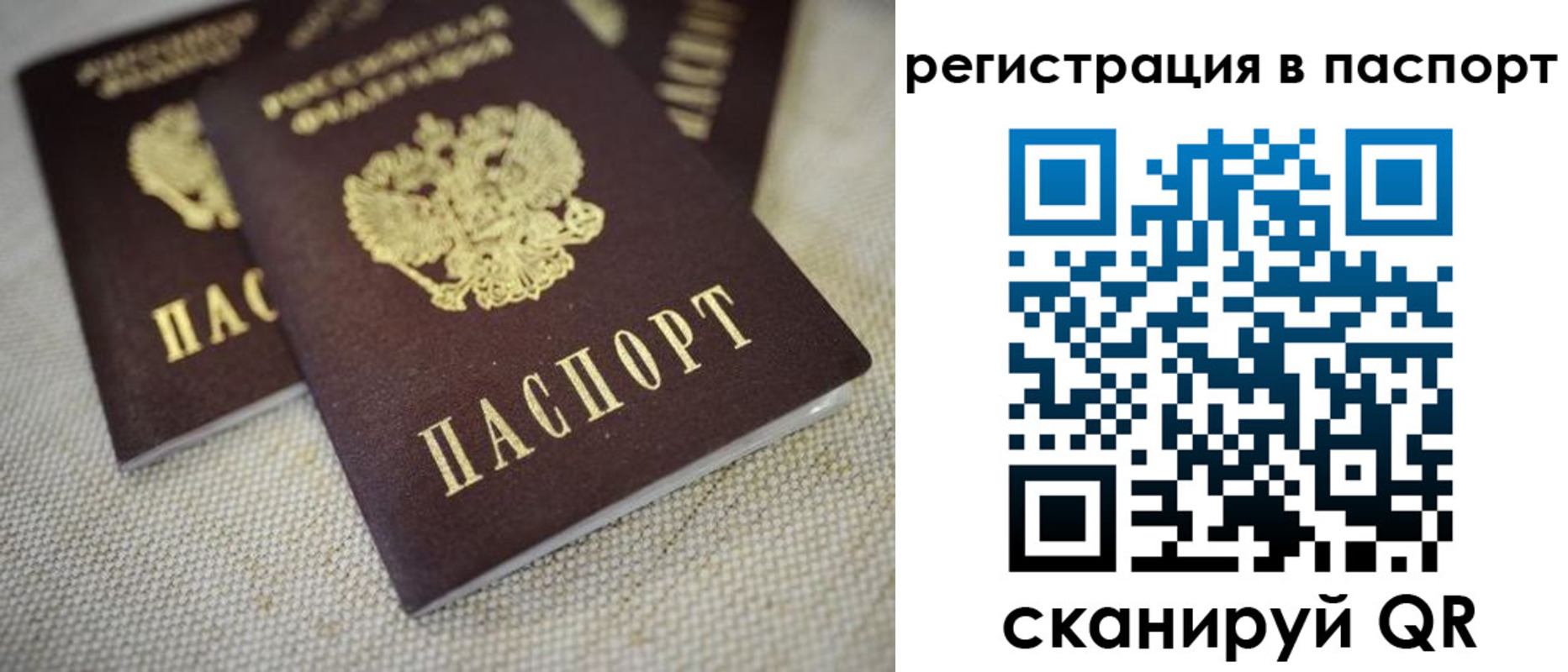 прописка гарантия в Палласовке